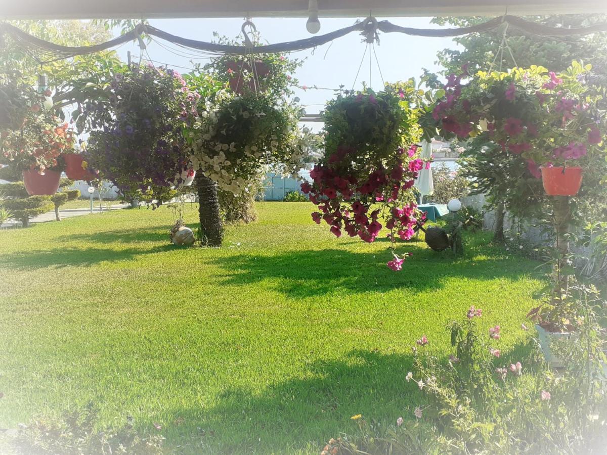 Top Floor On Villa, 3' From Center, By The Sea! Host Is Efi Kwsta Preveza Exteriör bild