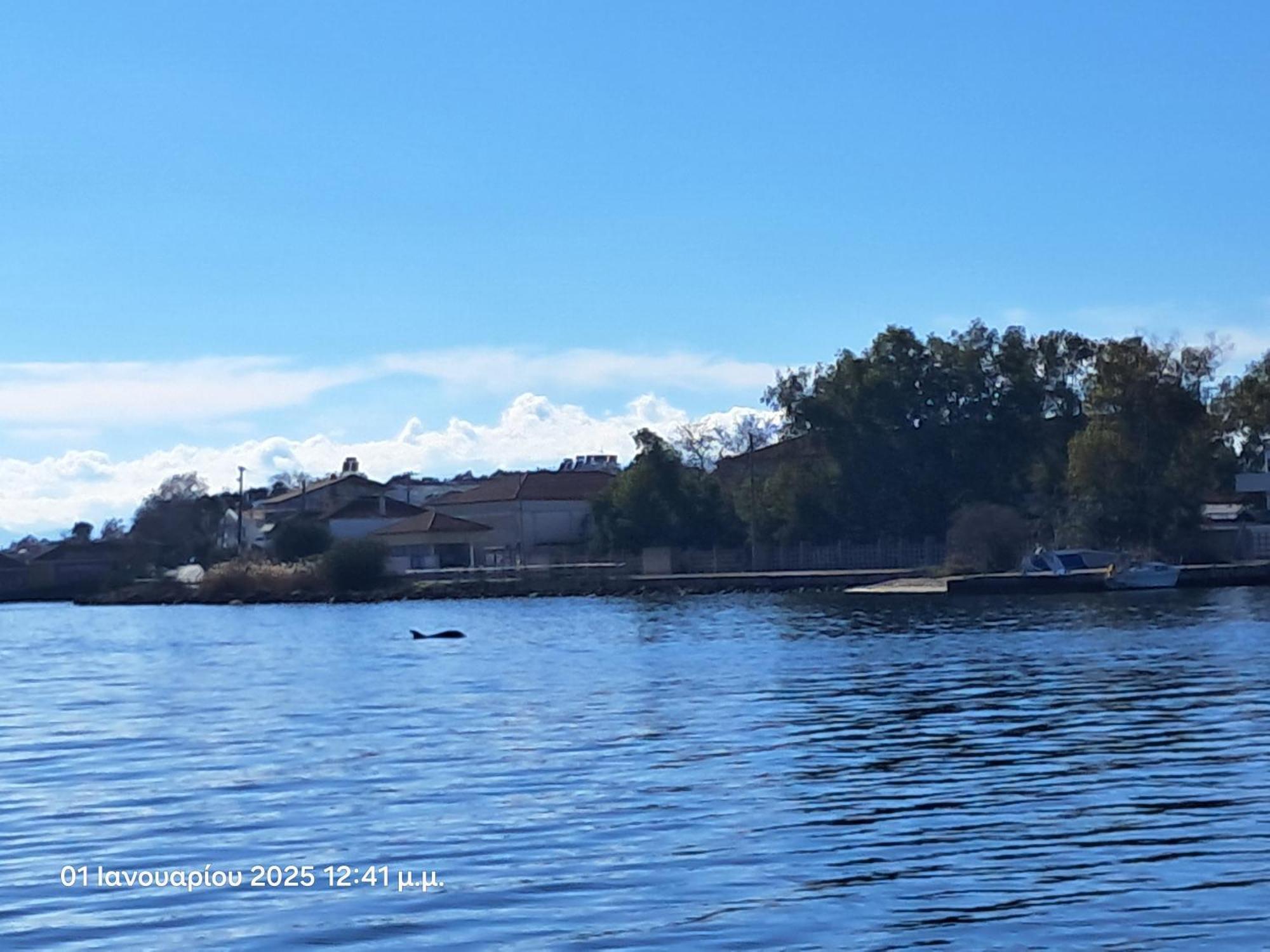 Top Floor On Villa, 3' From Center, By The Sea! Host Is Efi Kwsta Preveza Exteriör bild